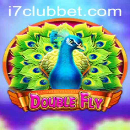 DoubleFly: A New Era in Multiplayer Gaming